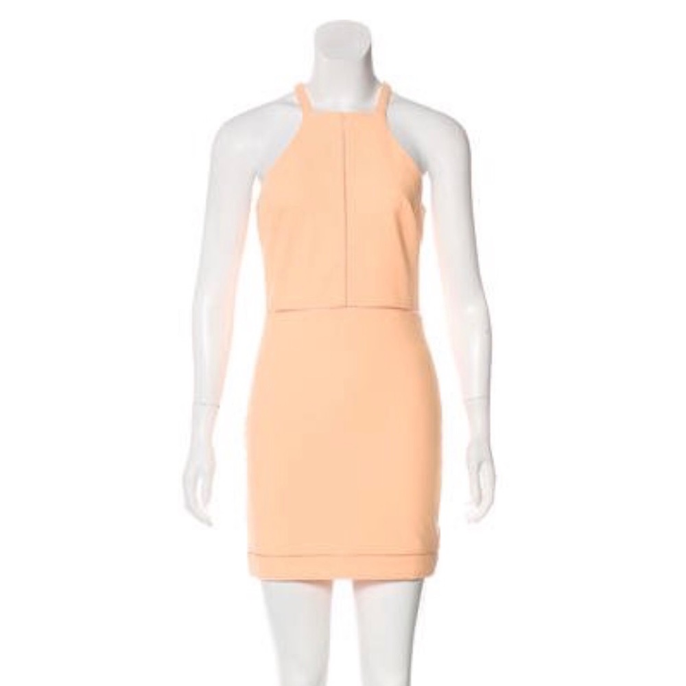 Elizabeth and James Reeves Dress